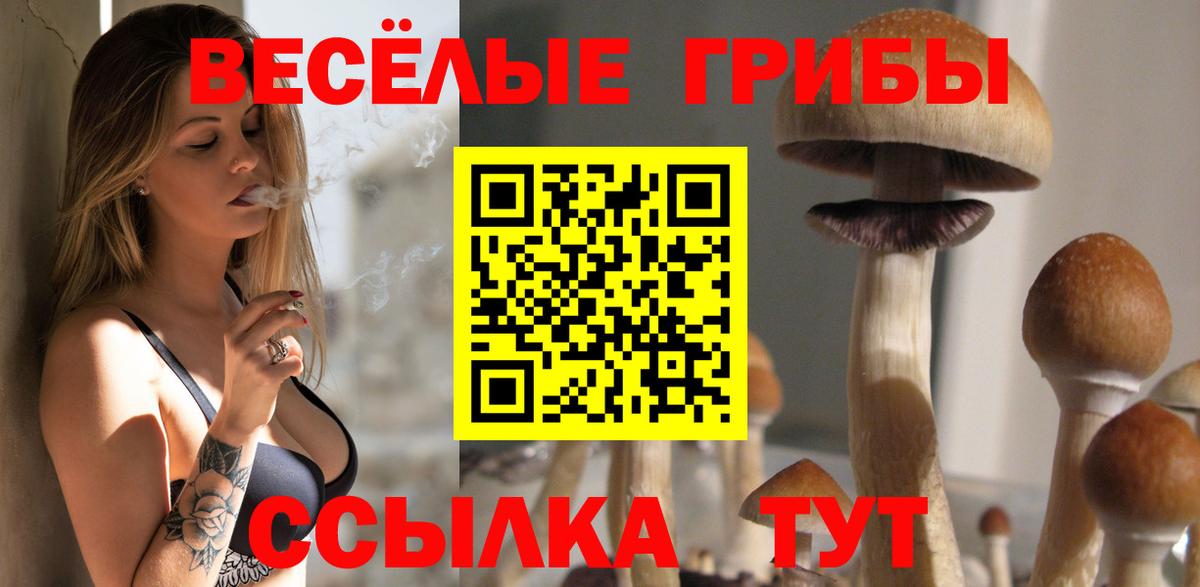 Нальчик  Галлюциногенные грибы мухоморы  Вход с VPN  Псилоцибиновые грибы ЛСД 